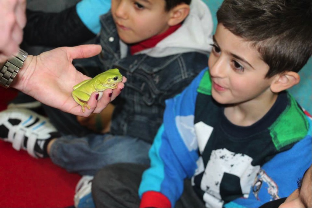 Children learning at Al Zahra Kingdom